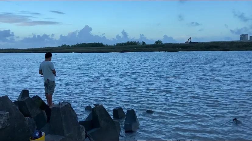 上海看美丽的大海,上海哪里有海滩看大海免费