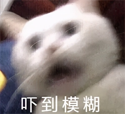 流泪猫猫头,流泪猫猫头抱小熊