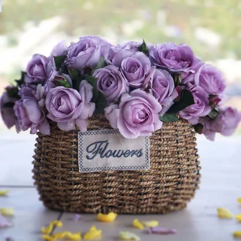 哪些花是开花机器,开花最香最好看繁殖能力还强的花