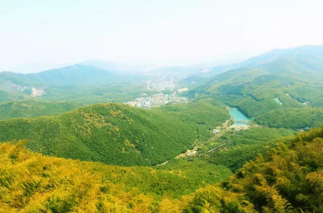 我在抖音的这些神曲里，听出了宜兴竹海的味道