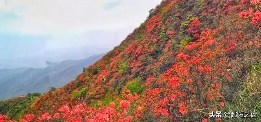 甯備簳椋庢儏杩樻槸甯備簳椋庡厜,甯備簳姘旀伅椋庢櫙