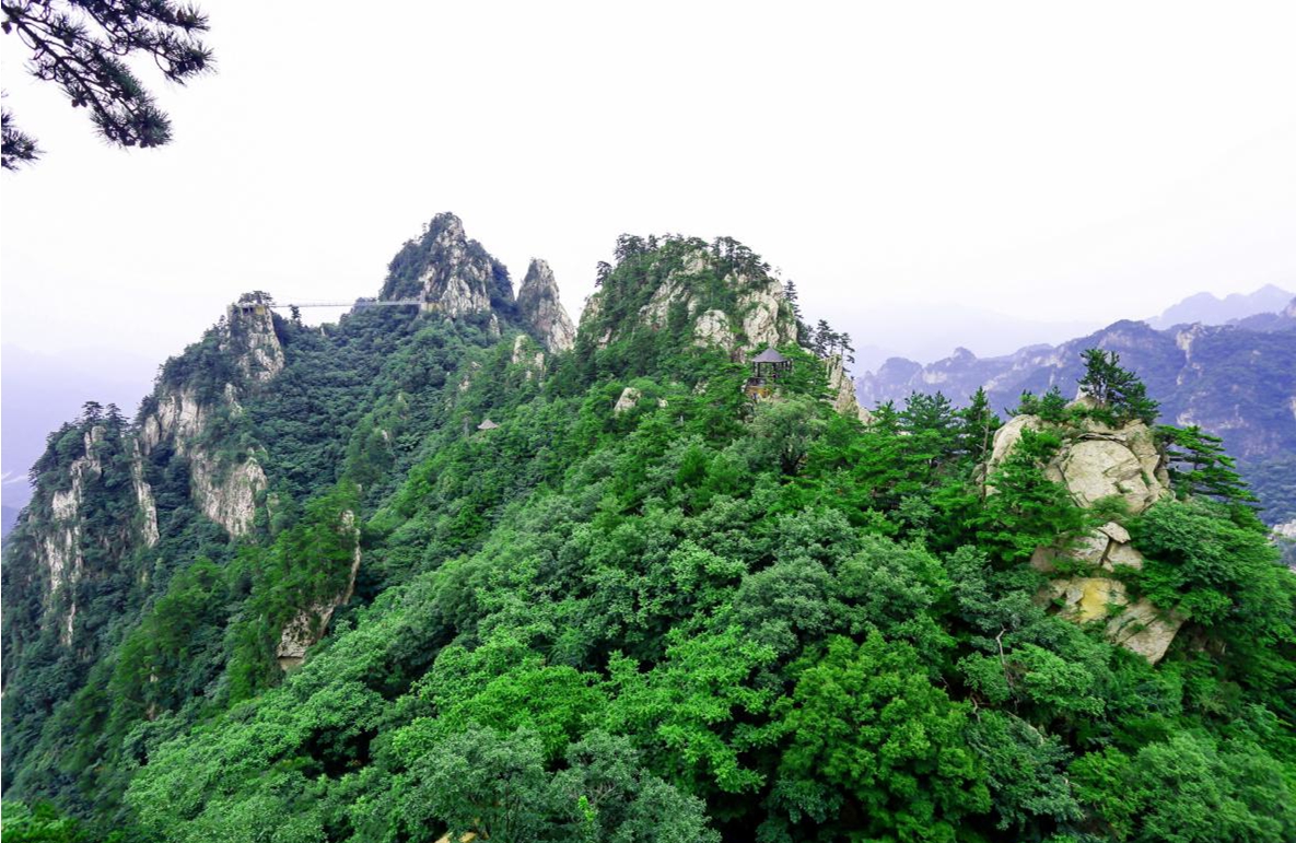 静享人间仙境，避暑养生地南阳慢时光，这才是七八月该去的地方