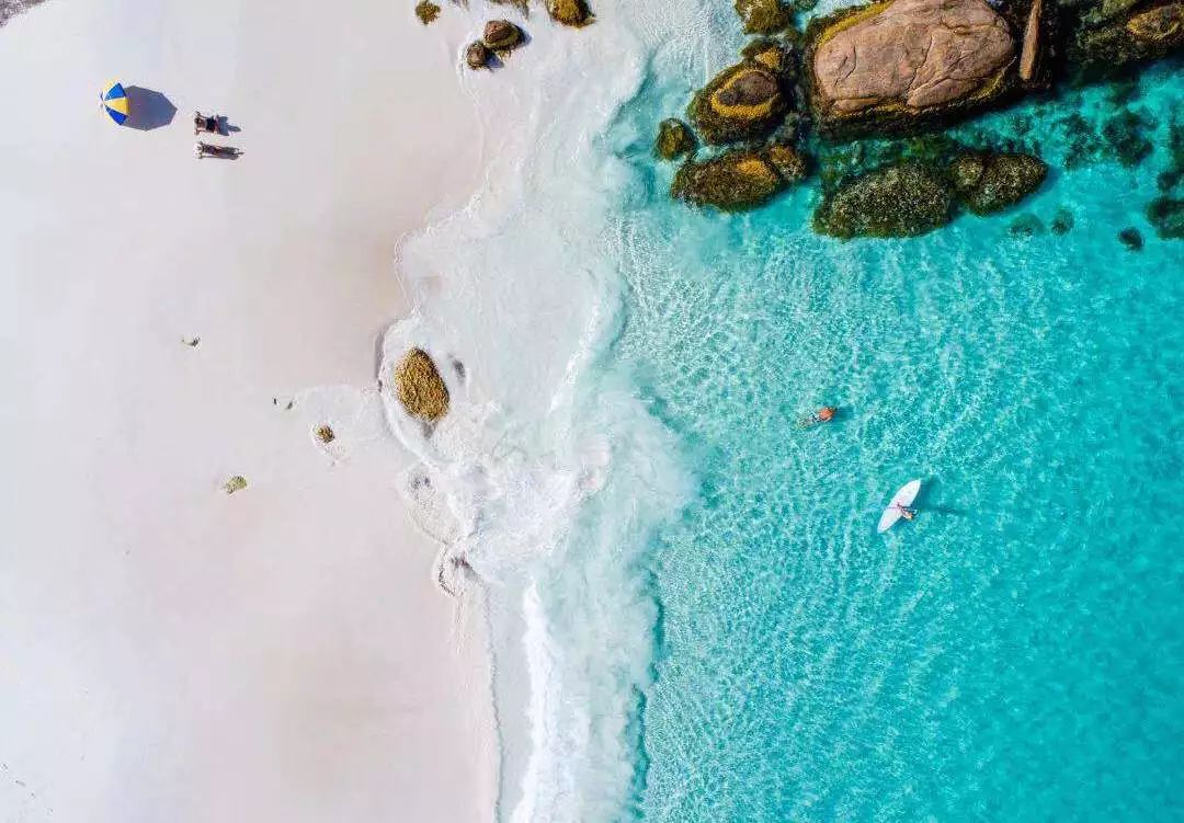 寻找幸运锦鲤活动在哪,寻找锦鲤