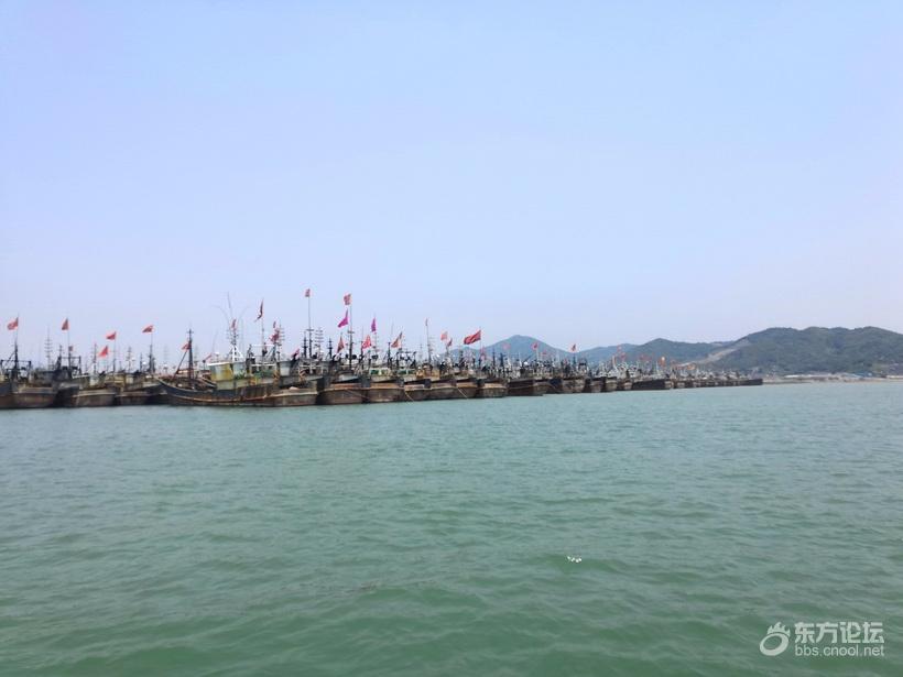 奉化海鲜自助餐有没有帝王蟹,奉化海鲜餐推荐