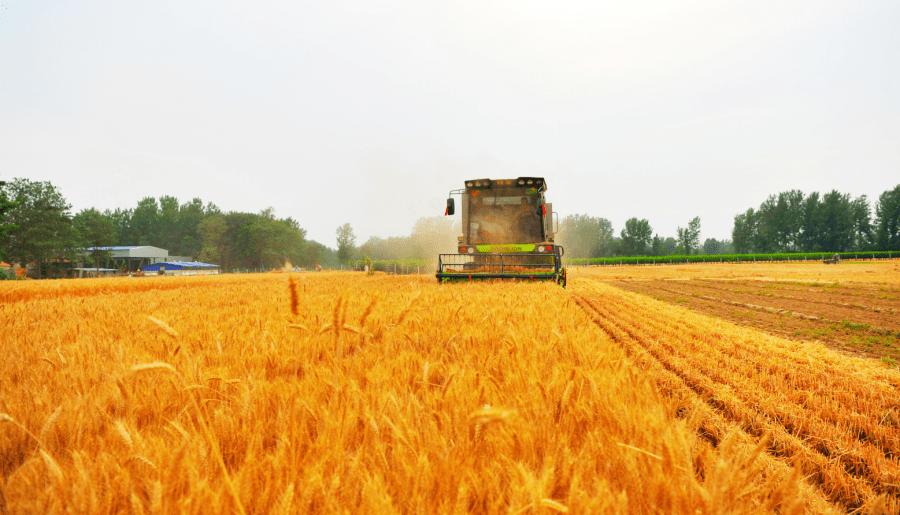 双汇拟投资200亿食品产业园,双汇漯河新5000万项目