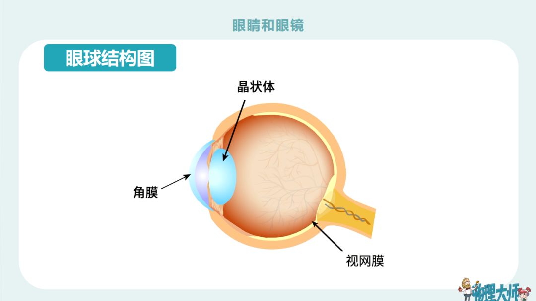 初二物理眼睛与眼镜难题,初二物理眼睛与眼镜讲解视频
