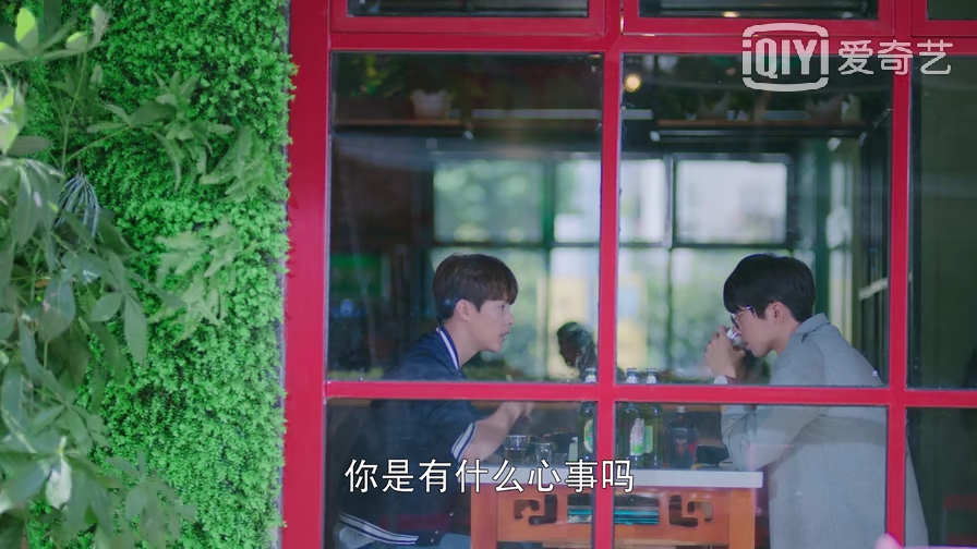 宠物情人日剧甜剧,宠物情人电视剧