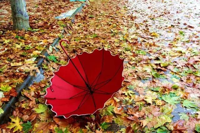 西法大青春力量,西法大