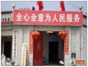 高县裕丰养猪专业合作社,为农联盟养猪专业合作社