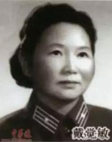 长征七仙女故事,长征路上的七仙女