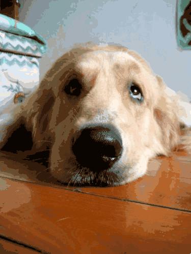 女性须知「月经的味道」，帮你远离尴尬