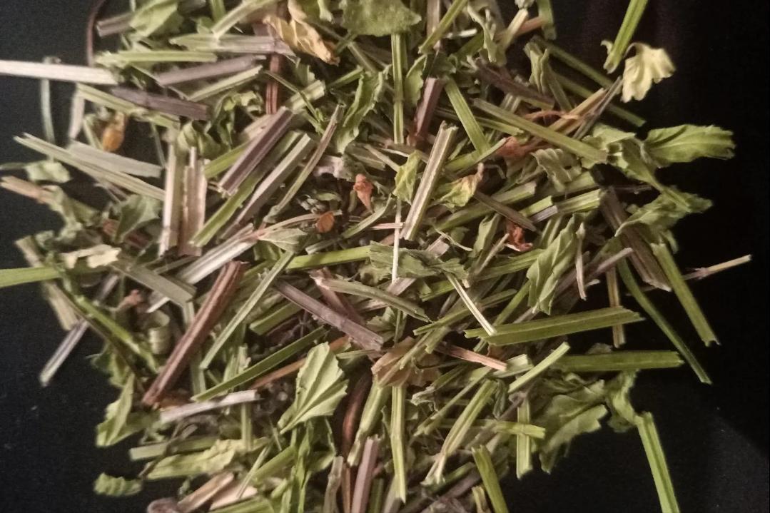 半枝莲有人收购了吗,哪里大量收购半枝莲