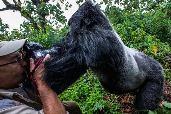 世界上最便宜的公园门票,世界上最便宜的公园多少钱