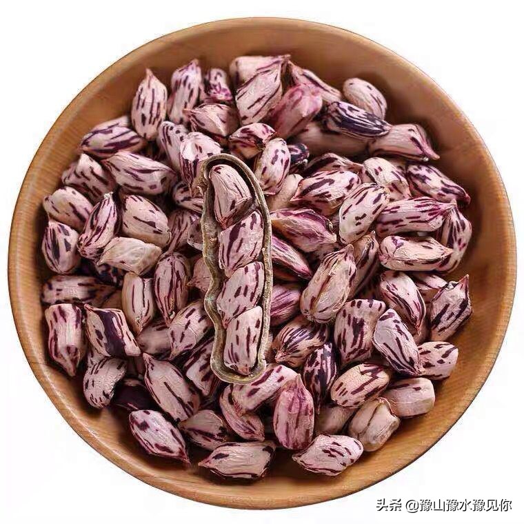 怪味花生五颜六色,发现生活中的每一抹色彩