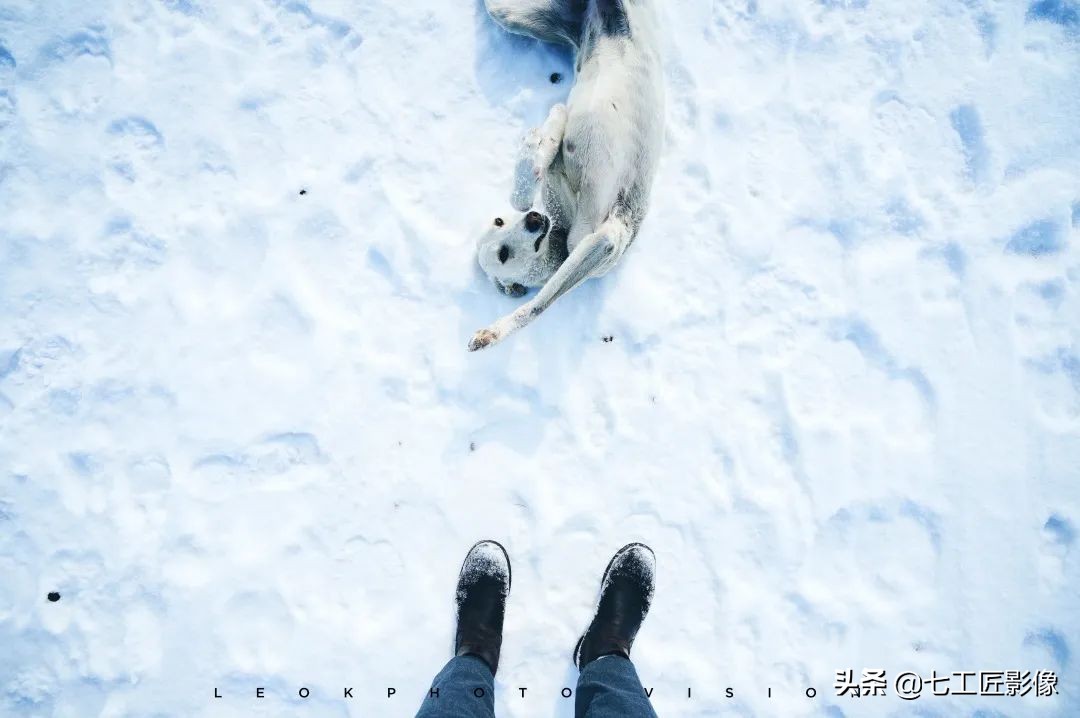 七工匠35mmf1.4和星曜50mmf1.8,趣味体验