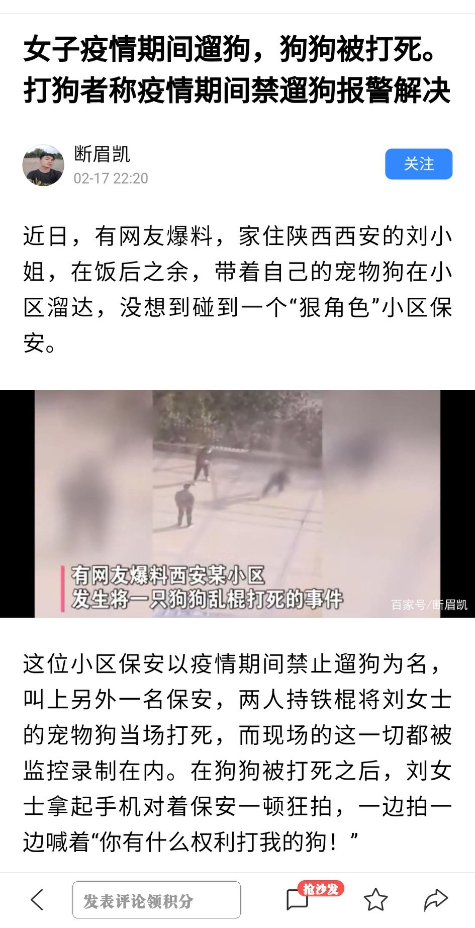 盘点那些被杀死的狗狗,看到有人虐动物怎么处理