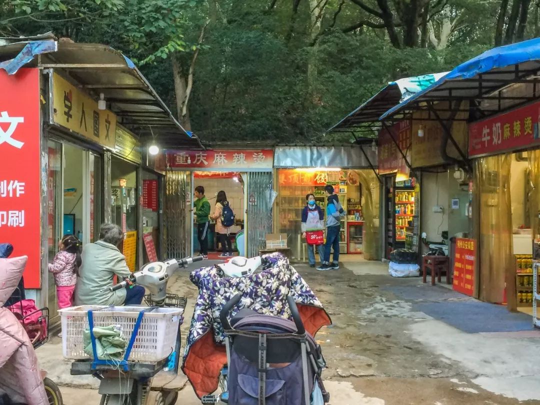 武汉大学必吃,武大校园美食攻略