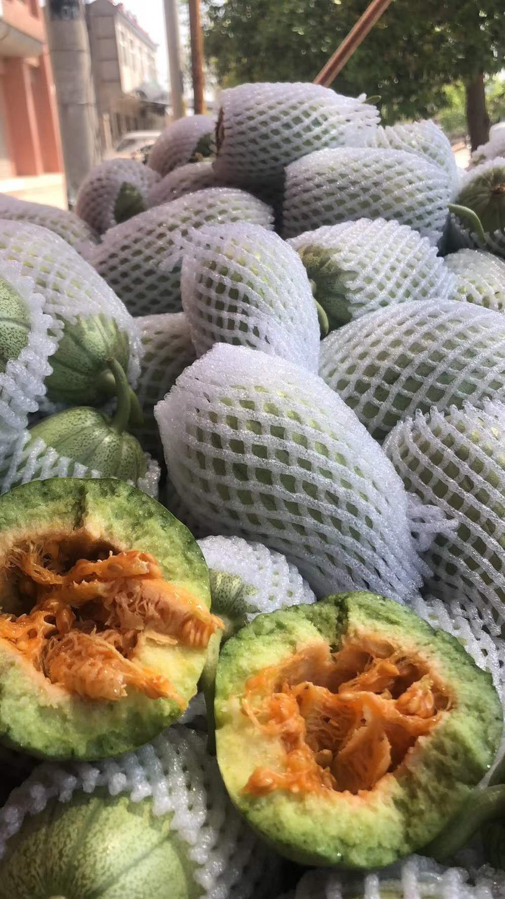 榆林的芝麻香瓜是啥,榆林芝麻香瓜专卖店