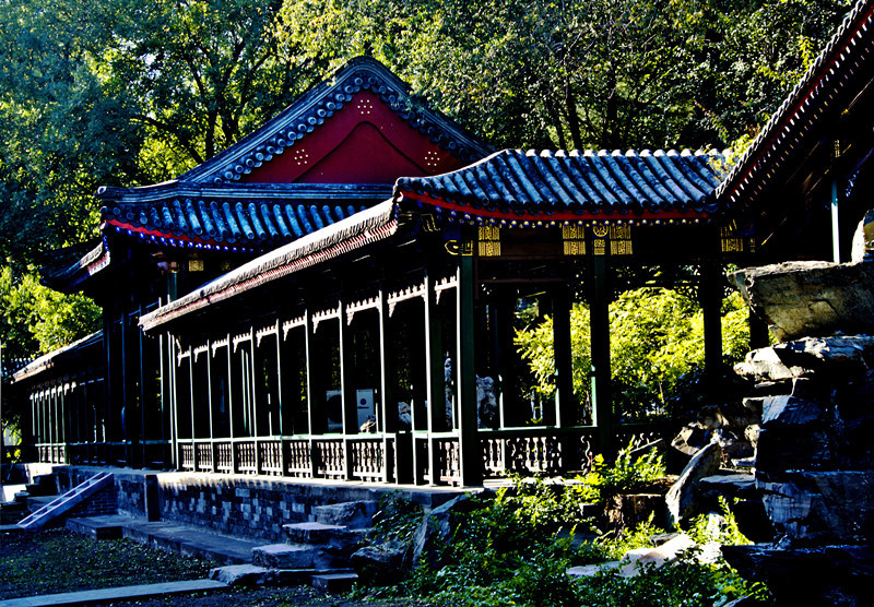 每日一校北京大学,每日一校领科教育