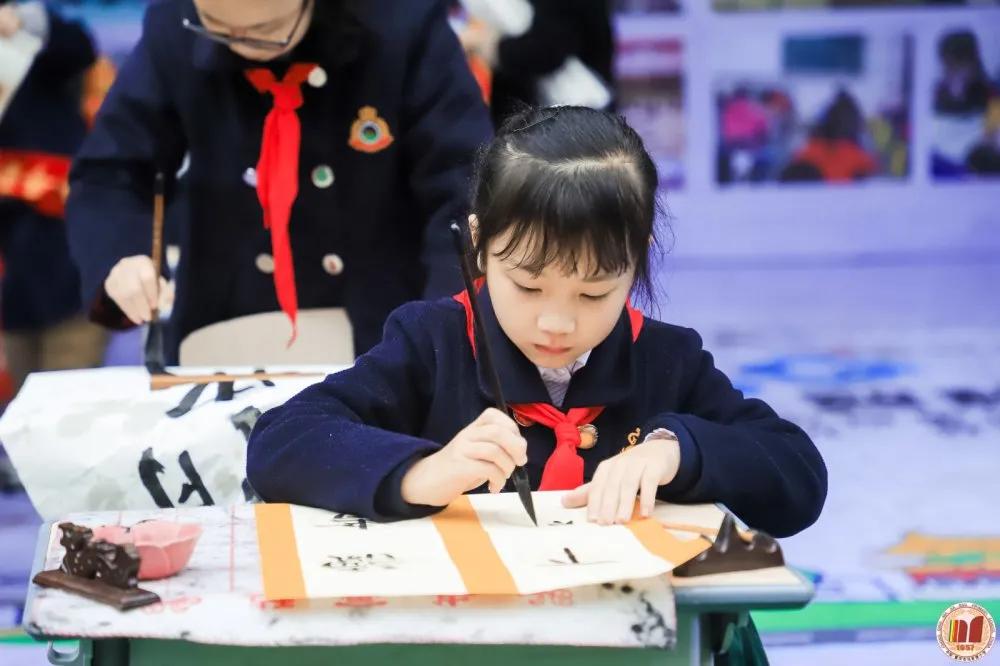 重庆沙坪坝区5朵金花小学,重庆公认最好的五个小学