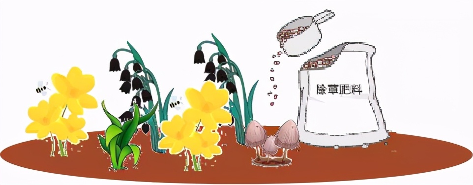 肿瘤患者免疫治疗不良反应有哪些,免疫相关不良反应指导原则