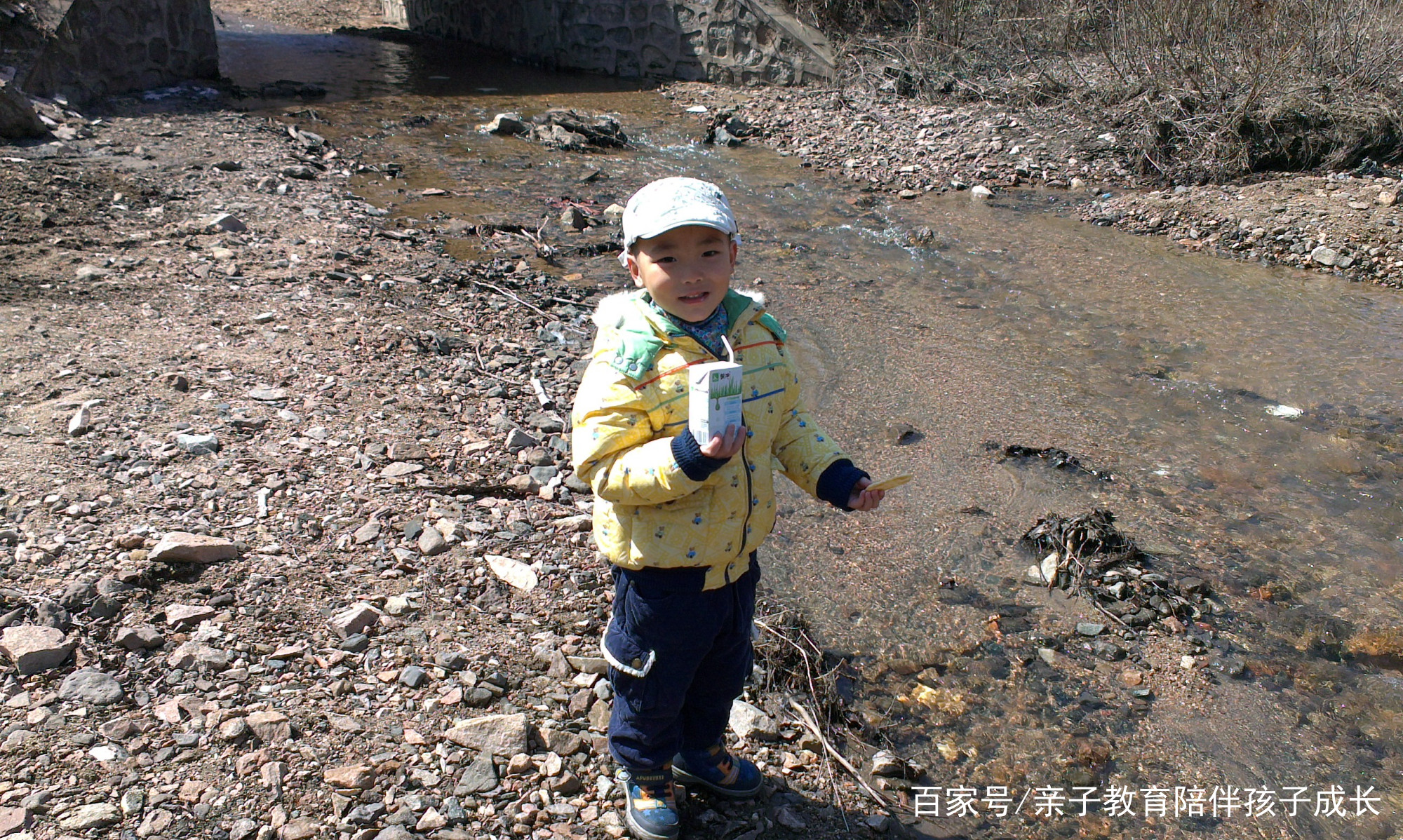 英语作文我的狗狗带翻译,我家的狗狗英语作文