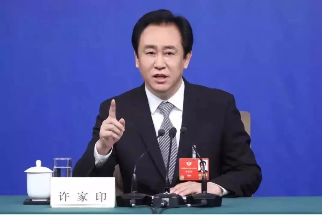 *会两**特稿|许家印傅育宁杨国强宁高宁这些年*会两**他们提了这些建议