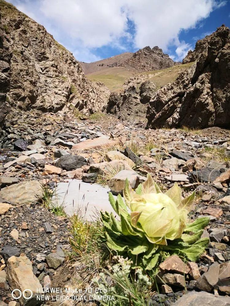 传说中的天狼之路，是否值得一走？