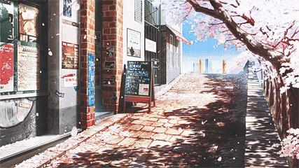 日本为什么那么喜欢樱花,日本为什么那么爱樱花