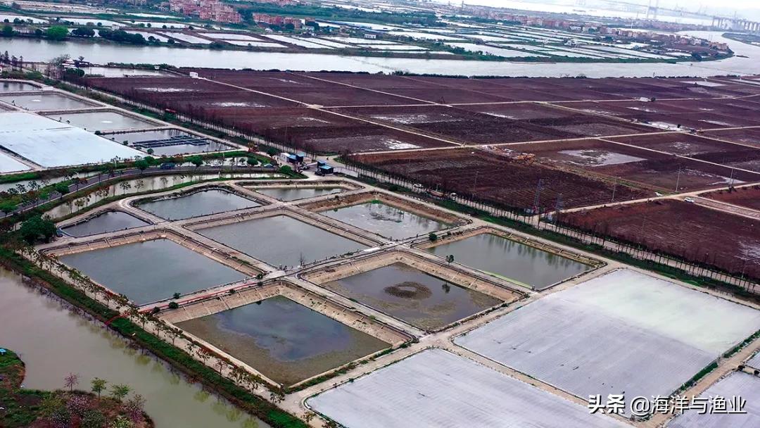 渔业生态养殖模式,如何发展绿色生态水产养殖