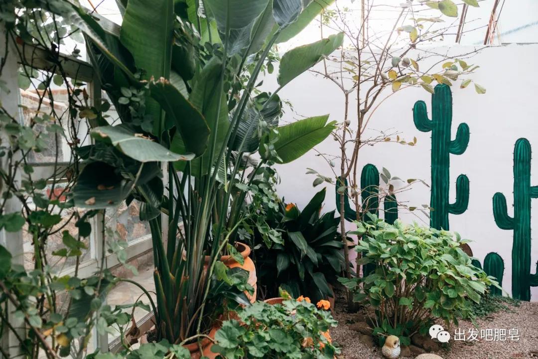 青岛亲子餐厅大盘点2.0,带娃全部吃过才有这份实力榜单