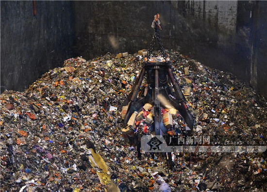 世界卫生日环境保护,世界环境日执法