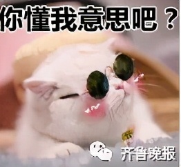 又一知名品牌破产！众多款式1折变现！网友：高中时穿它美滋滋