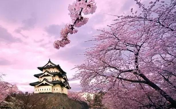 春回大地山清水秀,春回大地感受春的气息