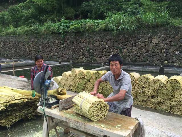 双11最荒唐的购物,双11奇葩买家秀