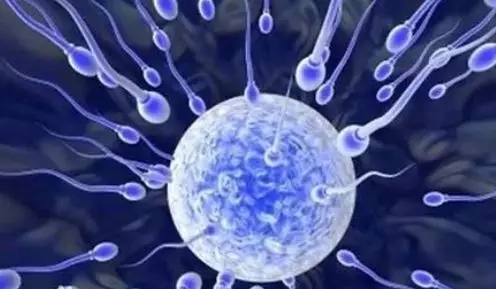 徐静蕾的小孩,徐静蕾是谁的儿子