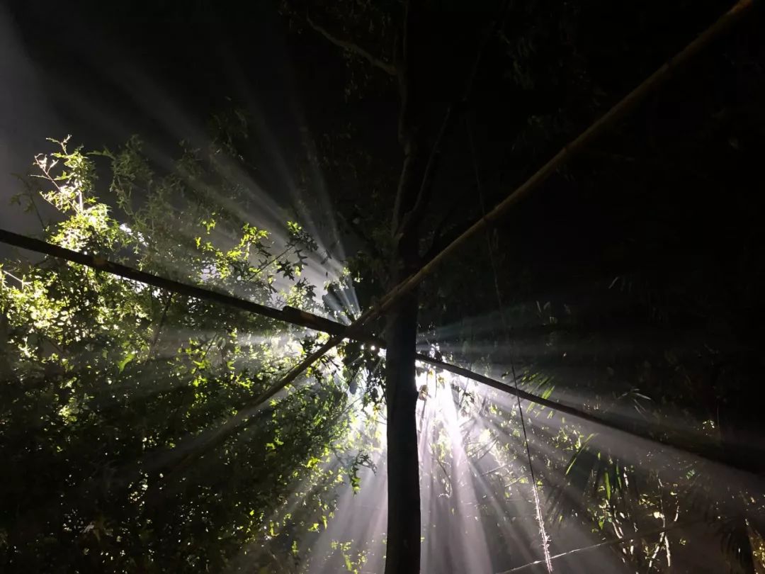 最值得买的dior,dior值得买的马鞍包是哪款