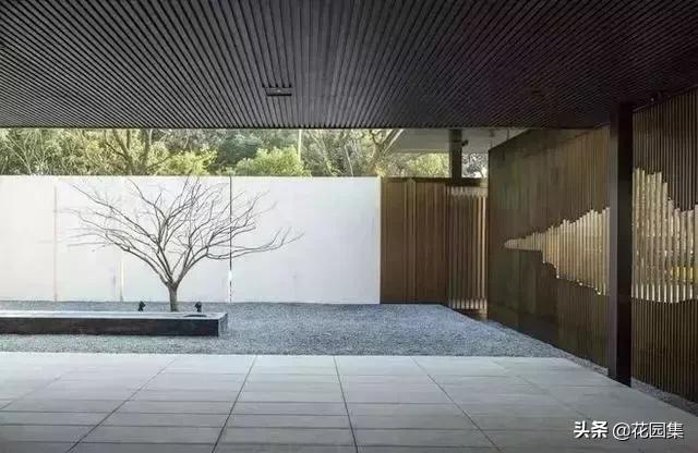 小小庭院看风景,诗意小庭院