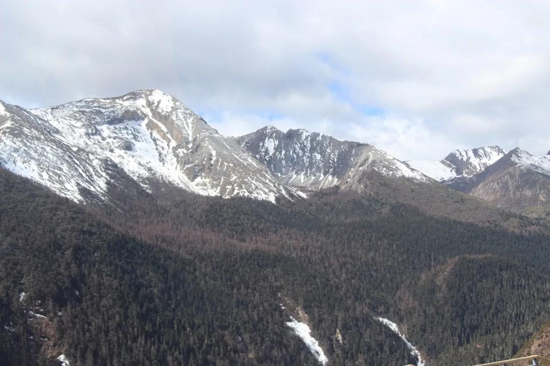 稻城亚丁春天视频,稻城亚丁春天风景