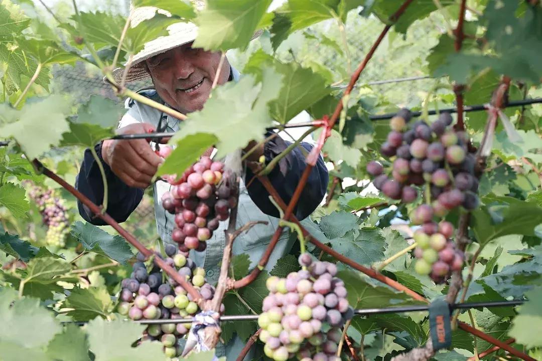 【超燃来袭】武清：70张笑脸，用稳稳的幸福，致敬可爱的祖国！