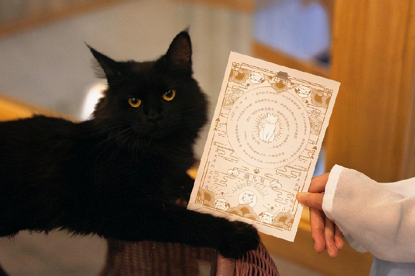 古代人养猫的历史,古人撸猫的仪式比纳妾还复杂