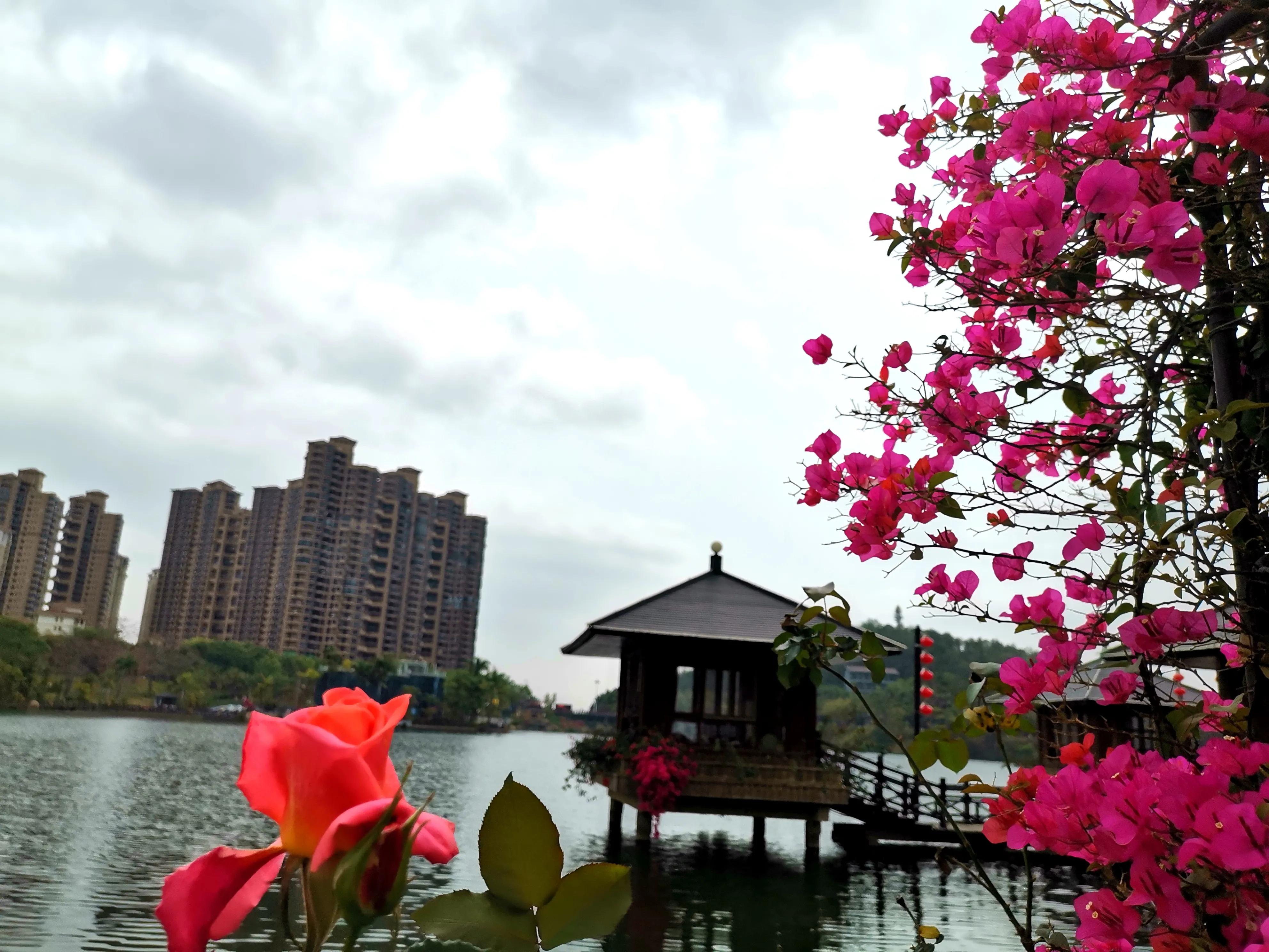 濮戝珎鏃呰璁板綍,濮戝珎鏃呰鏃ヨ