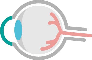 儿童眼保健及视力检查培训心得,0到6岁儿童眼保健家长讲课视频