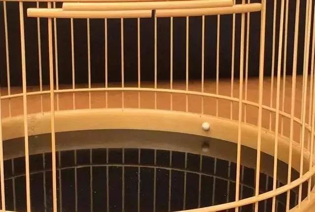 如何挑选鸟笼盖板和钩子,如何挑选金丝雀鸟笼