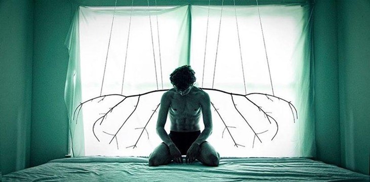 黄花菜煮水可治抑郁症,抑郁症是病可治