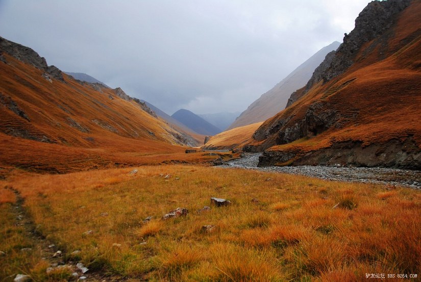 狼c调简谱教唱,狼c