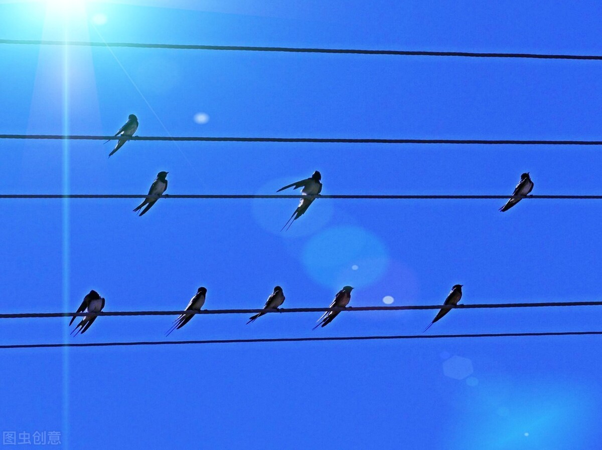 赵小明心理分析完整版,赵小明的心理分析