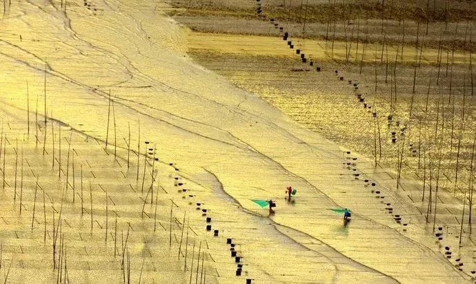 霞是光，浦是海：光与海的对话，吟唱出最美的滩涂