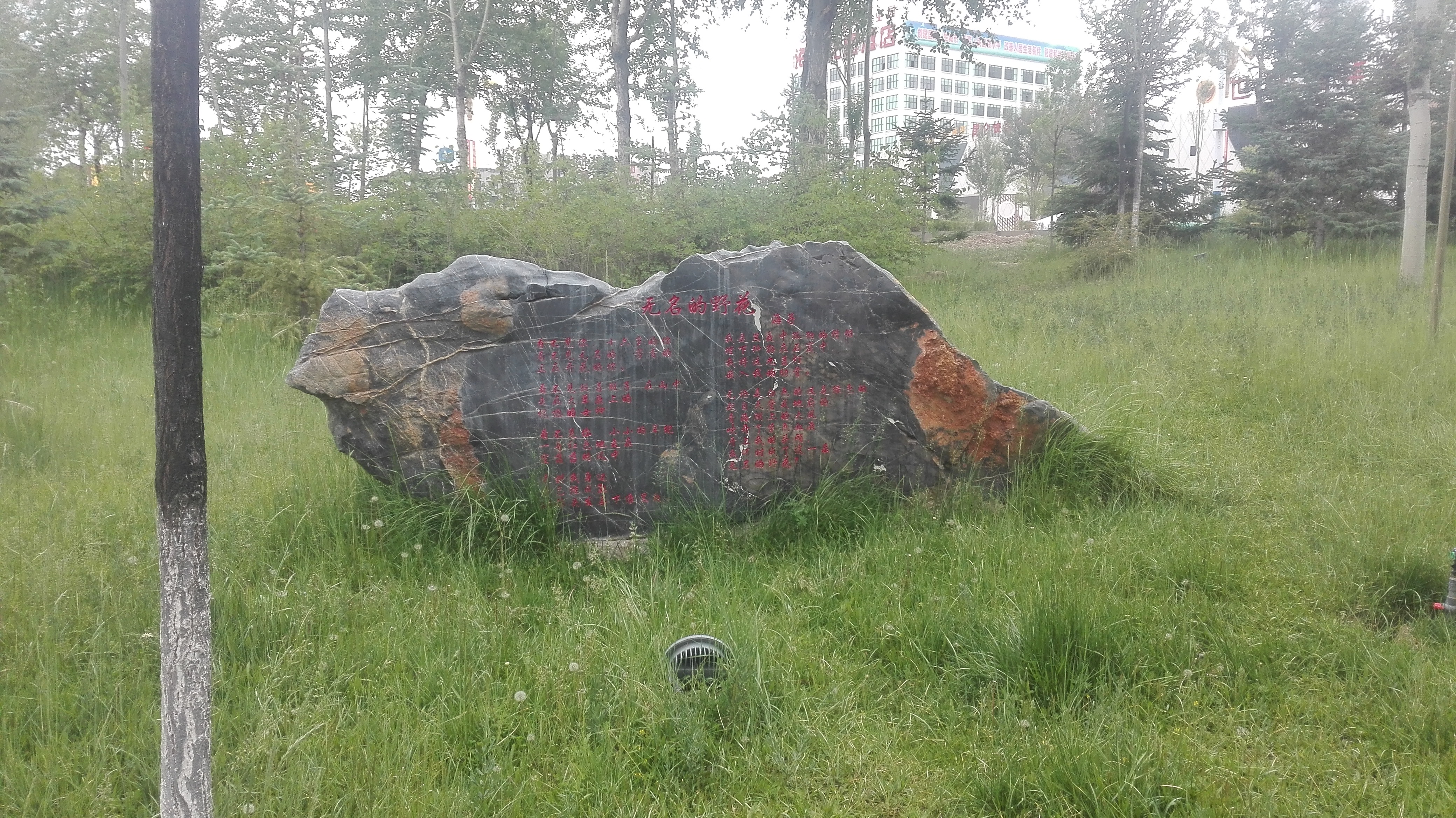 美丽的高原城市德令哈,德令哈一座安静的高原