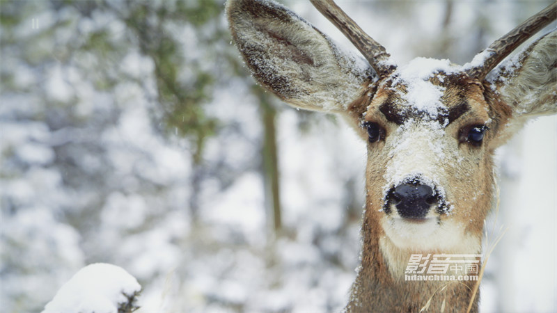 ViewSonic（优派）TX5000K：客厅百寸大屏市场的有力竞争者，拥有抢眼色彩的LED超短焦投影新贵